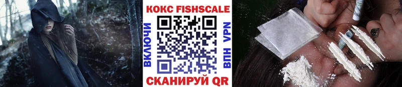 купить закладку  Наро-Фоминск  КОКАИН Эквадор 