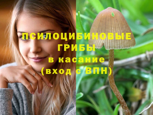 прущий лед Бронницы