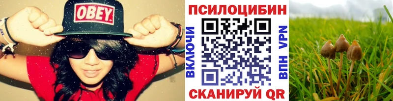 Галлюциногенные грибы прущие грибы  как найти   Наро-Фоминск 
