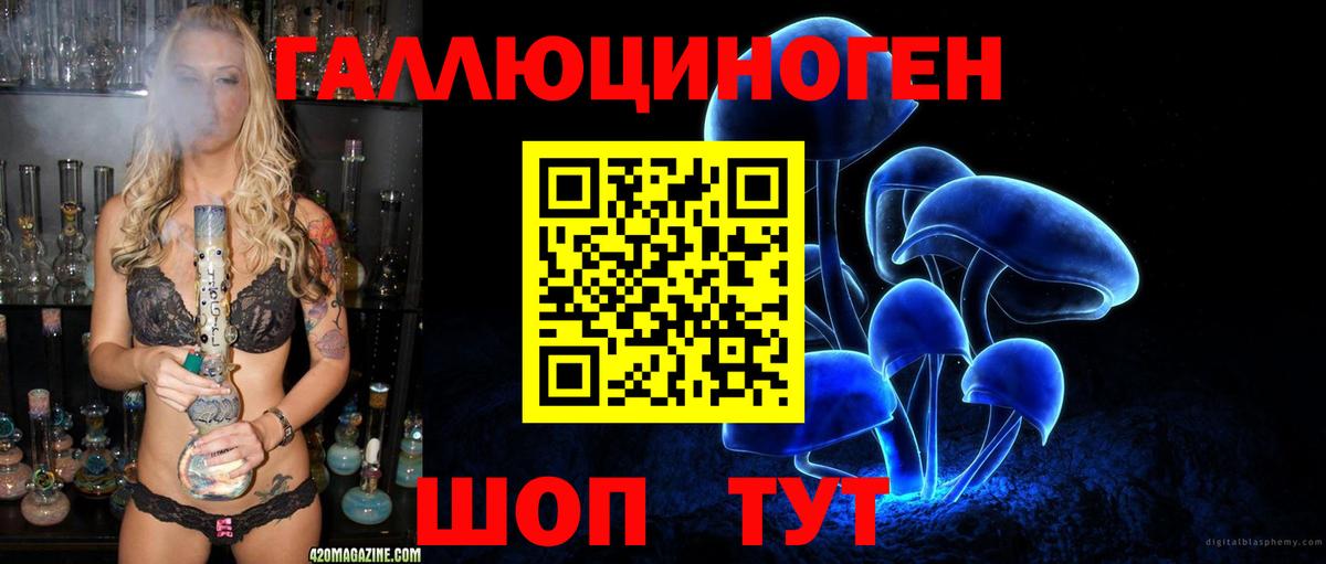 Наро-Фоминск  Псилоцибиновые грибы GOLDEN TEACHER  что такое   Вход с VPN 